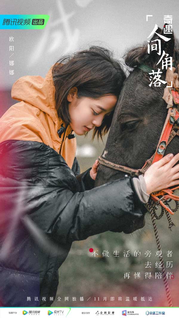 《奇遇·人间角落》探访温情故事 角落里总有生活的解法(图7)